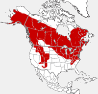 mapa da distribuição que mostra a escala do hudsonicus do Tamiasciurus em America do Norte