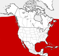 distribution map showing range of Grampus griseus in North America