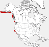 Mapa de la distribución de la nutria de mar