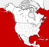 Sei Whale distribution map