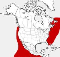 distribution map showing range of Delphinus delphis in North America