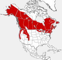 Snowshoe Hare distribution map