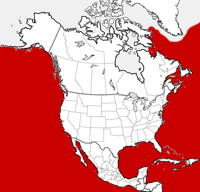 Sperm Whale distribution map