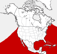 distribution map showing range of Stenella coeruleoalba in North America