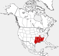distribution map showing range of Sylvilagus aquaticus in North America