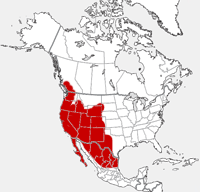 distribution map showing range of Spilogale gracilis in North America