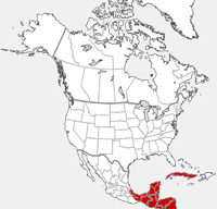 White-lipped Peccary distribution map