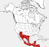 distribution map showing range of Nasua narica in North America