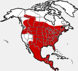 distribution map showing range of Odocoileus virginianus in North America