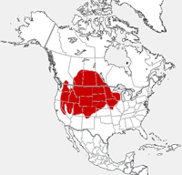 distribution map showing range of Lepus townsendii in North America